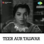 Teer Aur Talwar - Sultan Song Download
